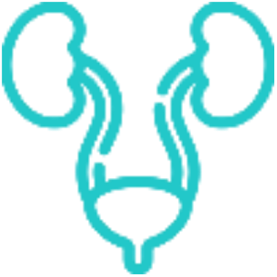 Urology  - Andrology